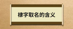 棣字取名的含义