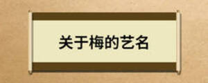 关于梅的艺名