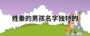 姓秦的男孩名字独特的