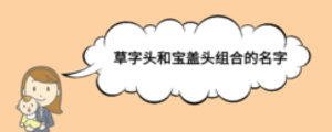 宝宝1.png