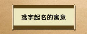 鸢字起名的寓意