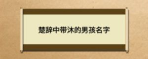 通用2 (3).png