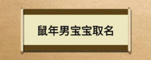 鼠年男宝宝取名