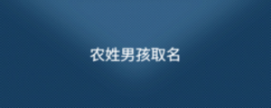 公司1 (3).png