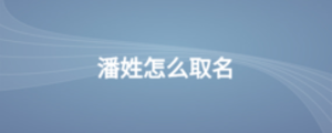 公司2 (1).png