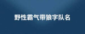 野性霸气带狼字队名