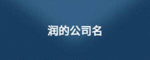 润的公司名