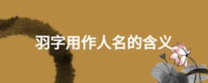 羽字用作人名的含义