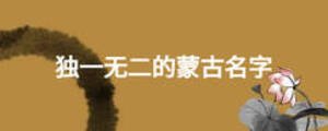 独一无二的蒙古名字