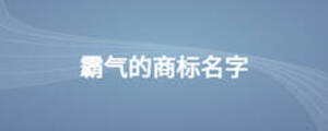 霸气的商标名字