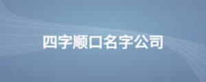 四字顺口名字公司