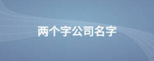 两个字公司名字