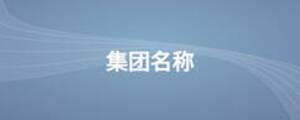 集团名称