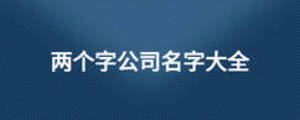 两个字公司名字大全