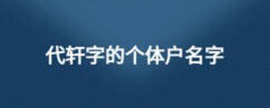 代轩字的个体户名字