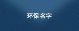 环保 名字