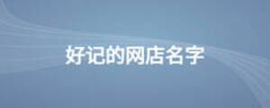 好记的网店名字