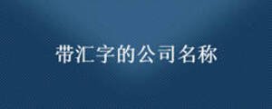 带汇字的公司名称