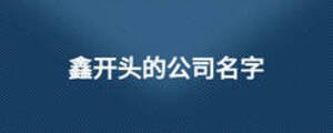 鑫开头的公司名字