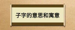 子字的意思和寓意