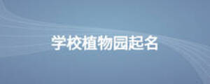 学校植物园起名