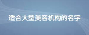 适合大型美容机构的名字