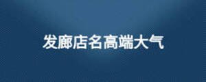 发廊店名高端大气