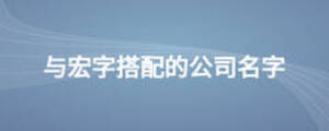 与宏字搭配的公司名字