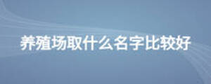 养殖场取什么名字比较好
