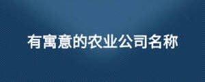 /nameask/13058.html