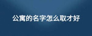/nameask/13052.html
