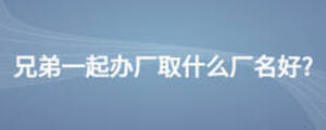 兄弟一起办厂取什么厂名好?