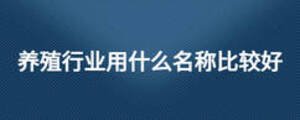 养殖行业用什么名称比较好