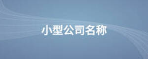 /nameask/13118.html