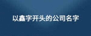 以鑫字开头的公司名字