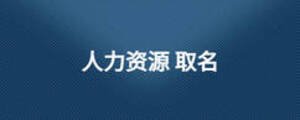 人力资源 取名
