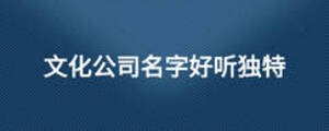 文化公司名字好听独特