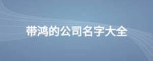 带鸿的公司名字大全