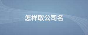 怎样取公司名