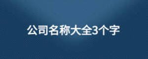 公司名称大全3个字