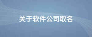关于软件公司取名