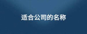 适合公司的名称