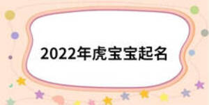 2022年虎宝宝起名