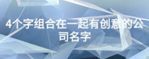 4个字组合在一起有创意的公司名字