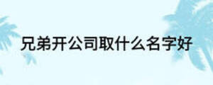 兄弟开公司取什么名字好