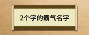 2个字的霸气名字