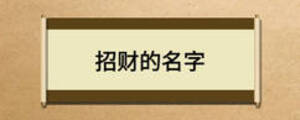 招财的名字