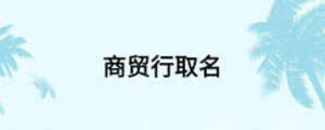 商贸行取名