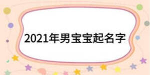 2021年男宝宝起名字