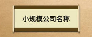 小规模公司名称